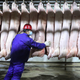 hanging pork ready to process
